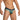 Daniel Alexander DAG014 Boxer Brief with eye-catching animal print Fashionable Men's Undies