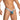 Daniel Alexander DAK076 Thong with animal print and transparency Sexy Men's Underwear Choice