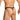 Daniel Alexander DAK076 Thong with animal print and transparency Sexy Men's Underwear