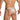 Daniel Alexander DAK077 Tight-fitting Thong with contrast of fabrics and colors Contemporary Men's Undies