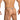 Daniel Alexander DAL054 G-String with Tone-on-tone and animal print Provocative Men's Underclothing