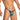 Daniel Alexander DAL055 Sexy G-String in animal print Fashionable Men's Undies