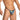 Daniel Alexander DAL055 Sexy G-String in animal print Stylish Men's Underwear Selection