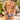 Daniel Alexander DAL055 Sexy G-String in animal print Sensual Men's Underwear