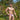 Daniel Alexander DAI094 Almost Naked Bikini - Erogenos