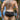 Agacio AGG056 The West Cost Swim Trunk - Erogenos