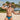 Cover Male CMJ027 Northern Bikini Brief - Erogenos