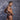 Cover Male CMI066 Color Slash Sheer Bikini - Erogenos