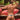 Daniel Alexander DAK053 Austin Thong - Erogenos