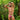 Kyle KLI040 Tri Color Comfy Bikini - Erogenos