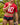 Agacio Boxer Sheer Trunks AGG086 Provocative Men's Underclothing
