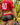 Agacio Boxer Sheer Trunks AGG086 Alluring Men's Underwear