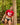 Agacio Thongs for Guys Sports Underwear AGK035 Stylish Men's Underwear Selection