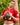 Agacio Thongs for Guys Sports Underwear AGK035 Sensual Men's Underwear