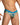 Daniel Alexander DAG014 Boxer Brief with eye-catching animal print Daring Men's Undergarments