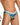 Daniel Alexander DAG014 Boxer Brief with eye-catching animal print Irresistible Sexy Underwear