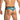 Daniel Alexander DAG014 Boxer Brief with eye-catching animal print Stylish Men's Underwear Selection