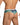 Daniel Alexander DAG014 Boxer Brief with eye-catching animal print Tempting Men's Underwear Collection
