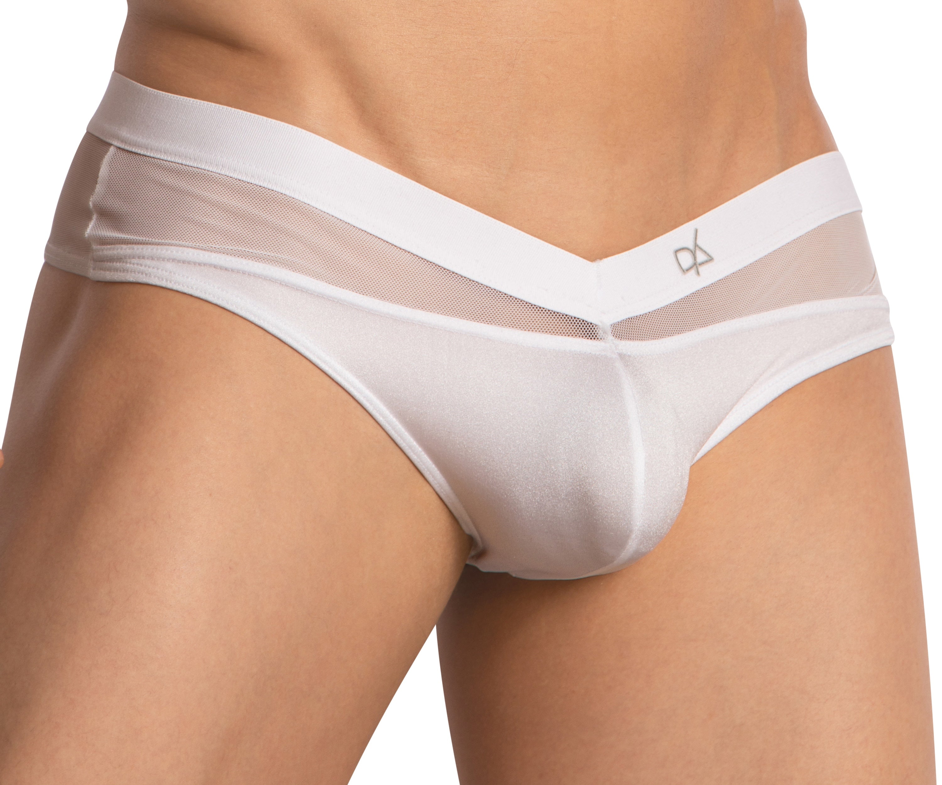 Daniel Alexander DAI098 V-Mesh Sheer Bikini Brief