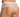 Daniel Alexander DAI098 V-Mesh Sheer Bikini Brief