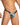 Daniel Alexander DAI100 Seductive Bikini with animal print and transparency Sexy Men's Underwear Choice