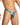 Daniel Alexander DAI100 Seductive Bikini with animal print and transparency Sensual Men's Underwear