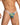 Daniel Alexander DAI100 Seductive Bikini with animal print and transparency Seductive Men's Undergarment