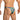 Daniel Alexander DAI100 Seductive Bikini with animal print and transparency Bold Men's Underwear
