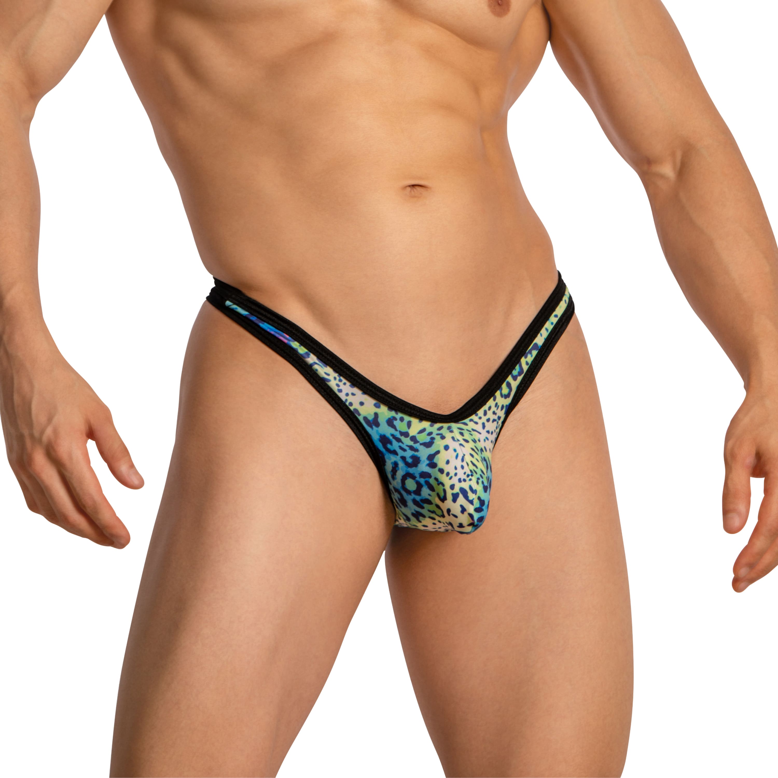 Daniel Alexander DAK076 Thong with animal print and transparency Sensual Men's Underwear