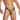 Daniel Alexander DAK076 Thong with animal print and transparency Sensual Men's Underwear