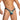 Daniel Alexander DAK076 Thong with animal print and transparency Bold Men's Underwear