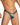 Daniel Alexander DAK076 Thong with animal print and transparency Bold Men's Underwear