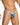 Daniel Alexander DAK076 Thong with animal print and transparency Sexy Men's Underwear Choice