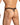 Daniel Alexander DAK076 Thong with animal print and transparency Seductive Men's Undergarment