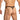 Daniel Alexander DAK076 Thong with animal print and transparency Seductive Men's Undergarment