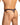 Daniel Alexander DAK076 Thong with animal print and transparency Sexy Men's Underwear