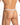 Daniel Alexander DAK076 Thong with animal print and transparency Men's Intimate Underwear