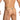 Daniel Alexander DAL054 G-String with Tone-on-tone and animal print Stylish Men's Intimate Apparel