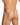 Daniel Alexander DAL054 G-String with Tone-on-tone and animal print Stylish Men's Intimate Apparel