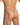 Daniel Alexander DAL054 G-String with Tone-on-tone and animal print Provocative Men's Underclothing