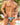 Daniel Alexander DAL055 Sexy G-String in animal print Sensual Men's Underwear