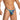 Daniel Alexander DAL055 Sexy G-String in animal print Irresistible Sexy Underwear