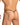 Daniel Alexander DAL055 Sexy G-String in animal print Daring Men's Undergarments