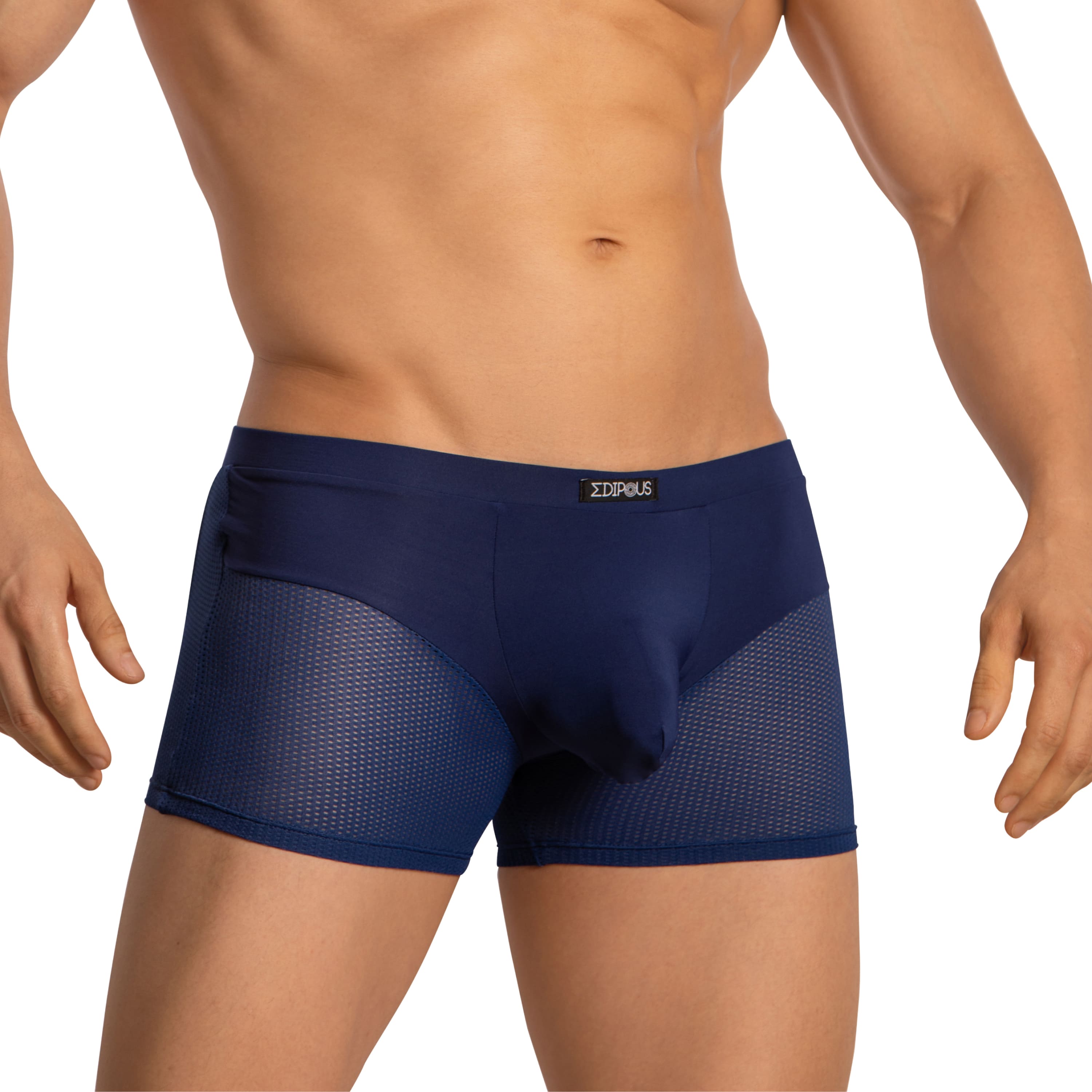 Men s Mesh Underwear Transparent Sexy And Mesh Underwear Erogenos men-s-mesh-underwear-transparent-sexy-and-mesh-underwear-erogenos