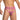 Secret Male Garter Belt Men's Bikini Lingerie SMI072