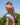 Agacio AGG084 Neon Wide Waistband Boxer Trunk - Erogenos