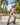 Cover Male CMI069 Mesh Sides Bikini - Erogenos