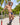 Cover Male CMI071 Sheer Back Bikini - Erogenos