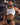 Daddy DDE059 Strapped Backless Jockstrap - Erogenos