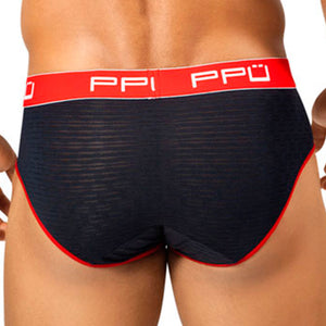 PPU 1309 Brief